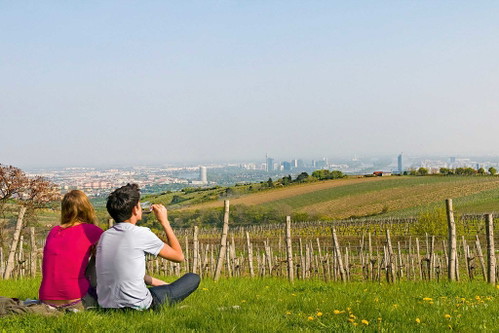Der Heurige Wailand ist Sieger in der Kategorie «Schönste Aussicht» im «Falstaff Heurigen- und Buschenschankguide».