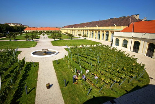Die Lage Liesenpfennig auf dem Areal von  Schloss Schönbrunn.