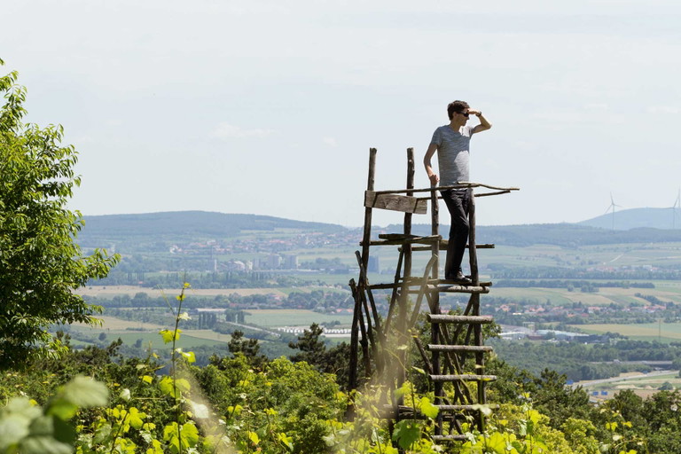 »Kleine Trauben mit kleinen, aromatischen Beeren sorgen Jahr um Jahr für die Mineralität und Würzigkeit des Chardonnay ›Gloria‹« Andi Kollwentz, Großhöflein
