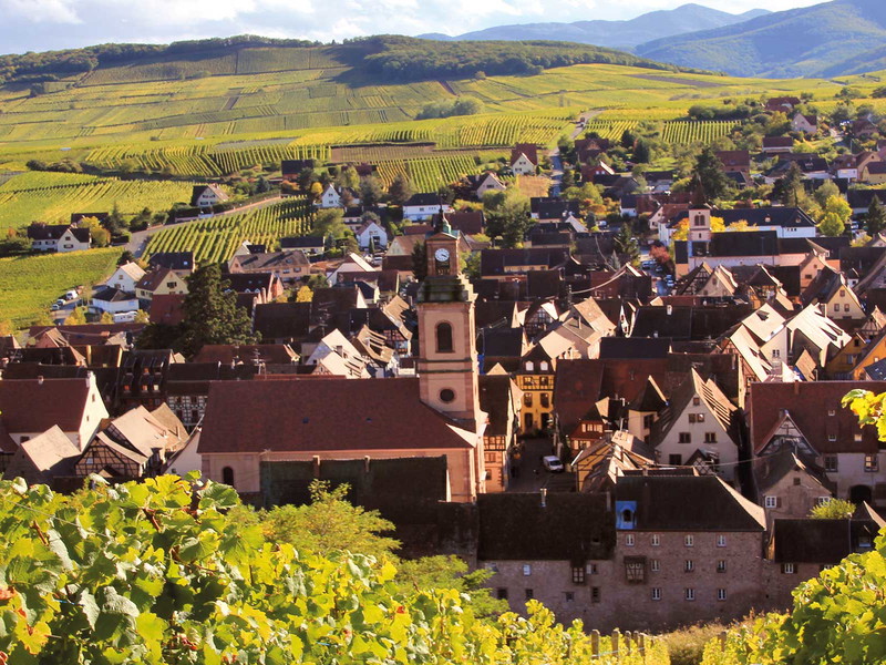 Tranquil and yet so full of potential in viticulture: Alsace.