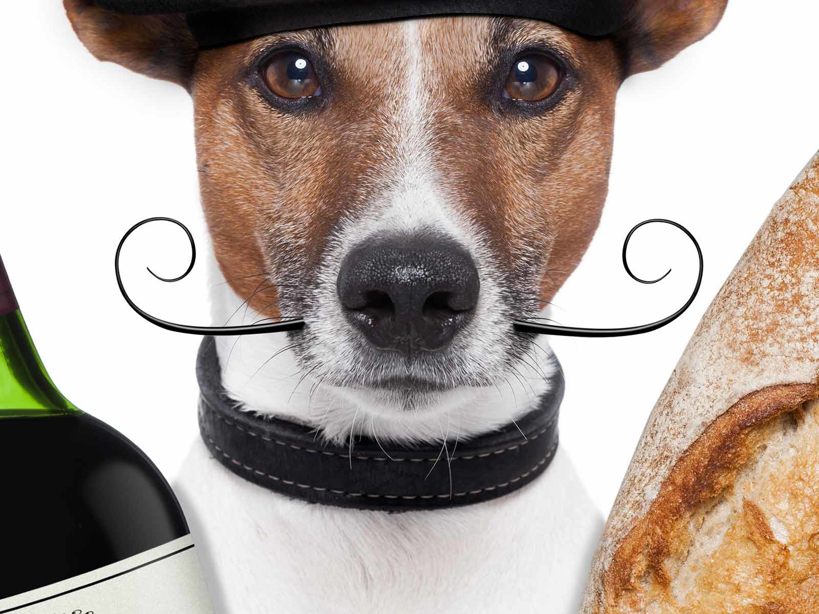 Simpler Genuss: Baguette und Wein