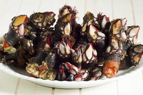 Entenmuscheln&nbsp;
Ein hübscher Name für ein Schalentier, das zudem hübsch anzusehen ist. Sie heisst zwar Muschel, ist aber keine und hat auch nichts mit einer Ente zu tun. Tatsächlich ist die Entenmuschel ein Krebstier, das auf Meeresfelsen oder Treibgut lebt.&nbsp;