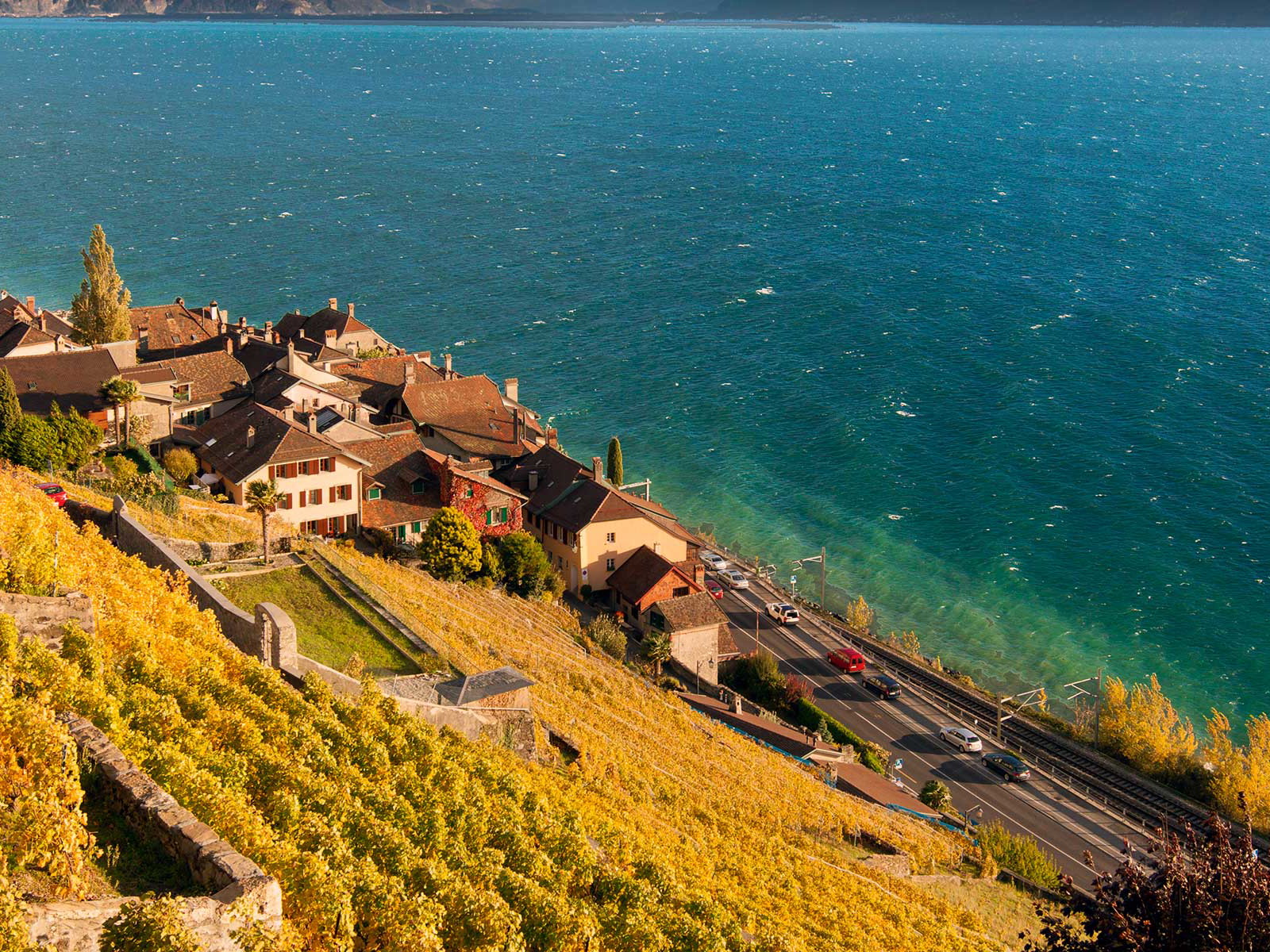 Lavaux im Waadtland: Heimat des Chasselas und Unesco-Weltkulturerbe.