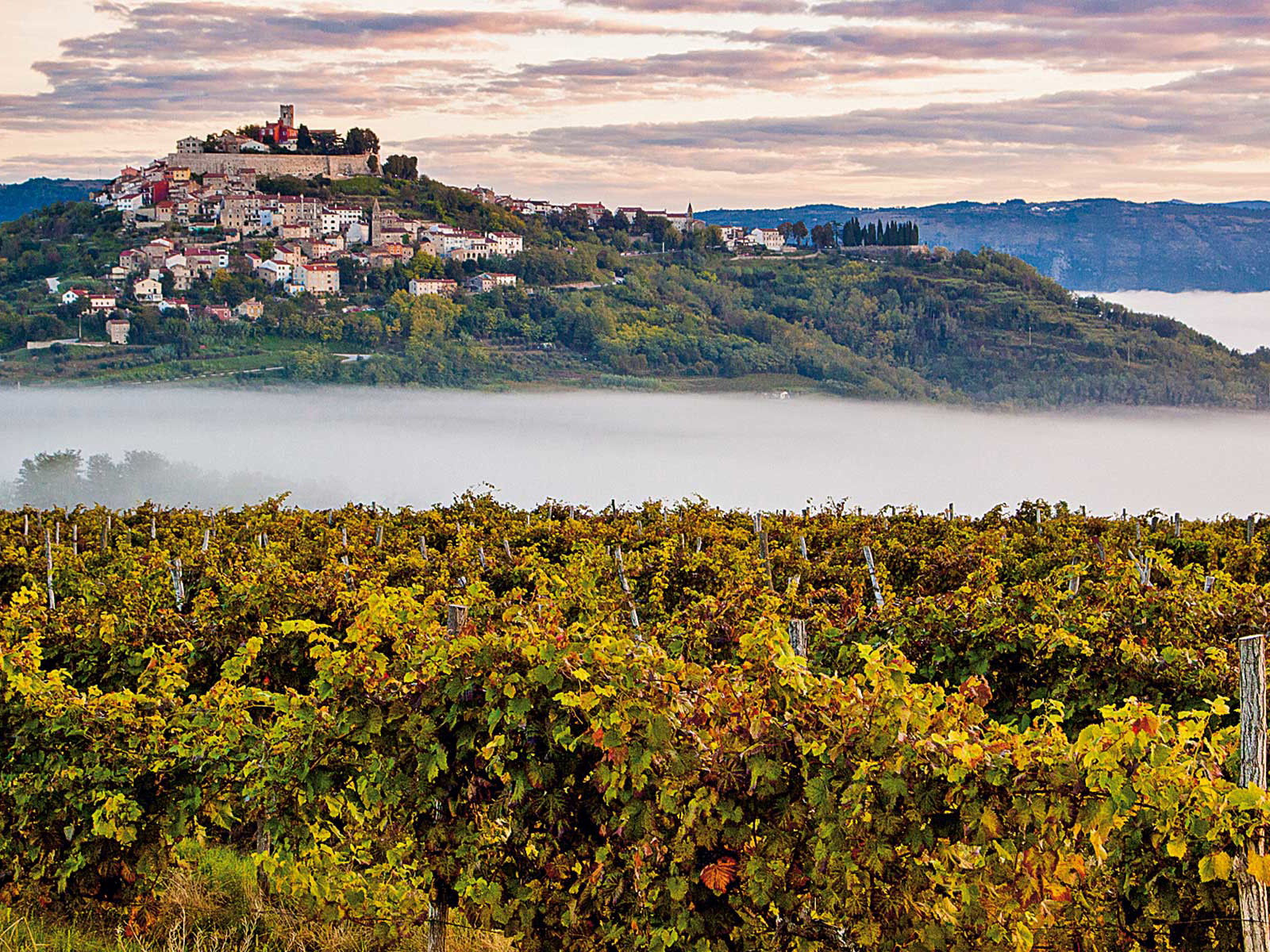 Beste Aussichten auf eine genussvolle Reise: das Örtchen Motovun