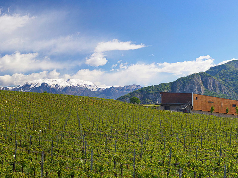 Das moderne Franciacorta-Weingut Barone Pizzini