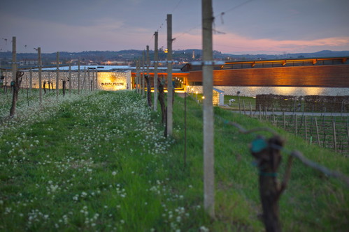 Das Weingut Barone Pizzini