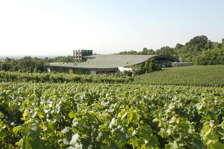 Das Weingut Ca' del Bosco