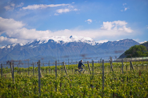 Blick vom Weingut auf den Iseosee mit schneebedeckten Bergen.