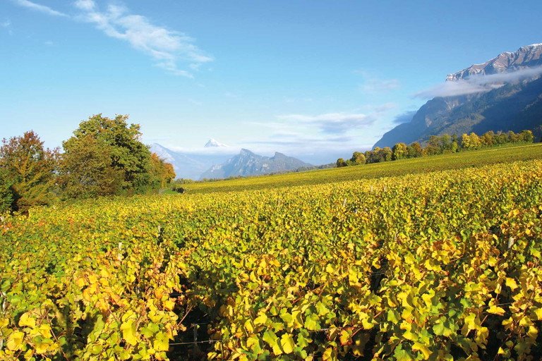 Föhnstimmung in der Bündner Herrschaft im Herbst.