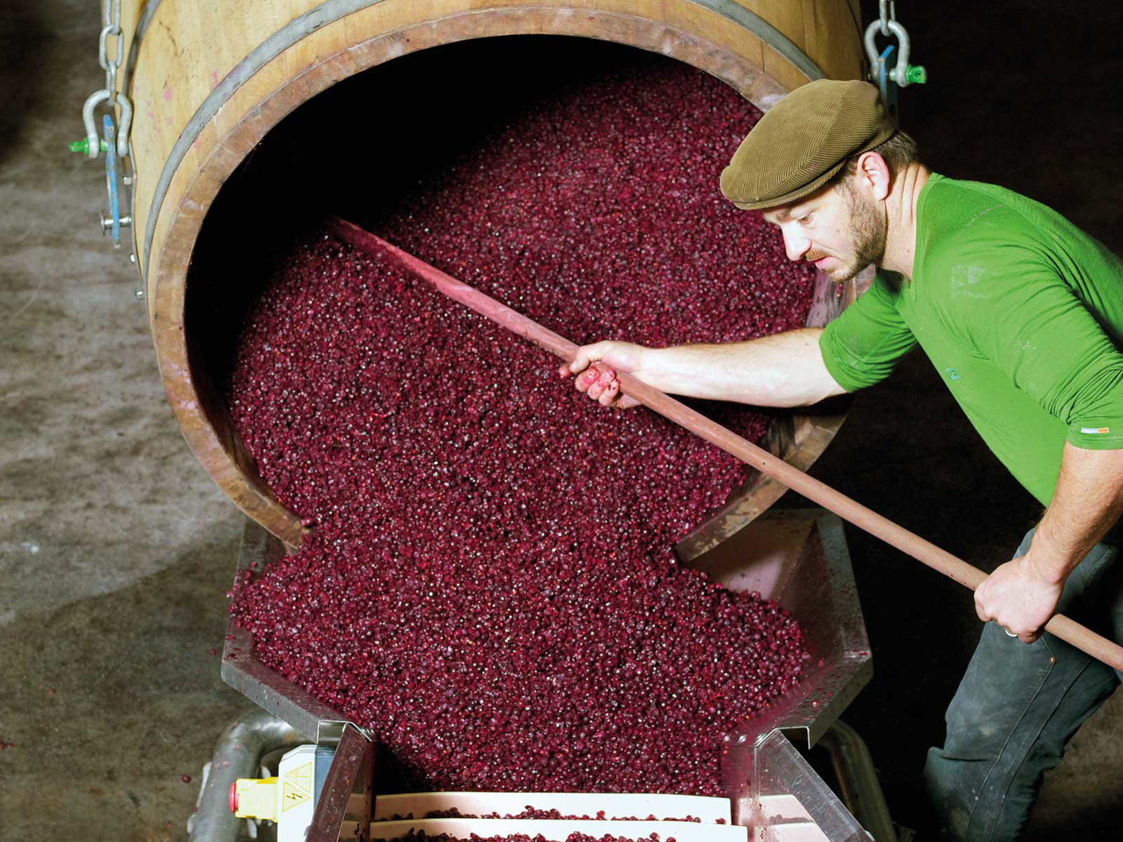 Christian Obrecht beim Herausschaufeln der Pinot-Noir-Maische.