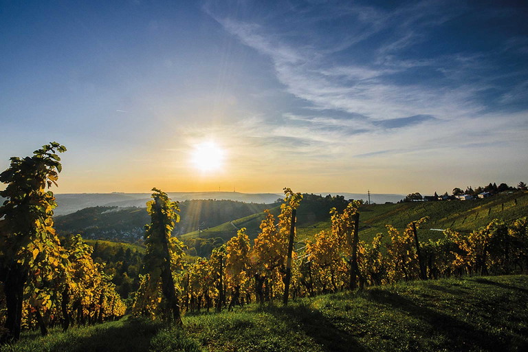 Dramatische Abendstimmung in der Umgebung Stuttgarts (Uhlbach-Rotenberg).