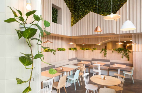 CaféKitty Burns (Melbourne, Australia)Biasol Design Studio