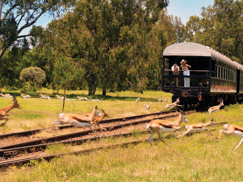 Eines der exklusiven Reiseziele in Südafrika: die Luxuszüge von Rovos Rail.
