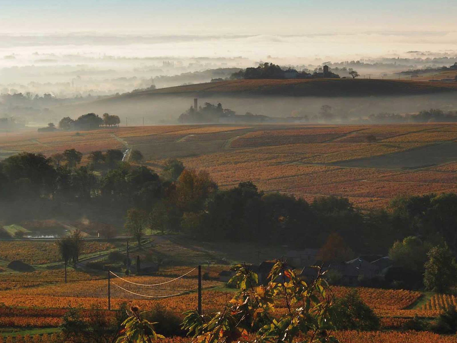 Herbststimmung über der Beaujolais-Spitzenlage Côte de Brouilly.