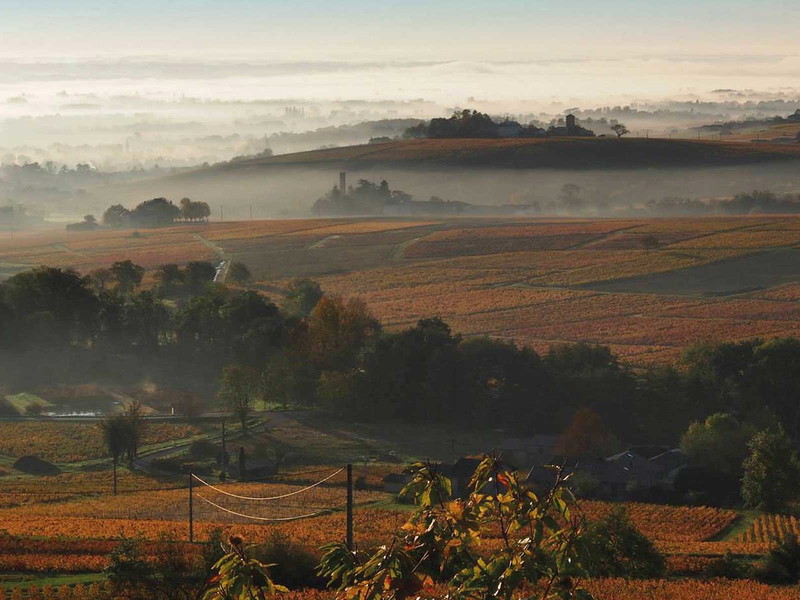 Herbststimmung über der Beaujolais-Spitzenlage Côte de Brouilly.