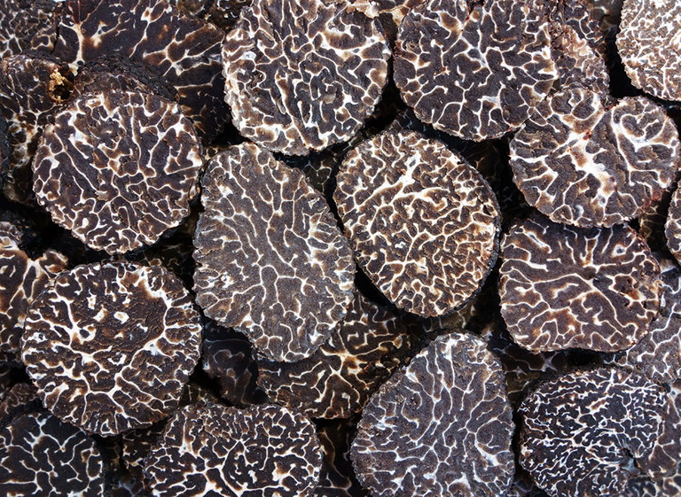 Schwarze Trüffel aus der Zucht: kein schnelles&nbsp;Geschäft.