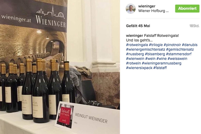 © Instagram/Fritz Wieninger