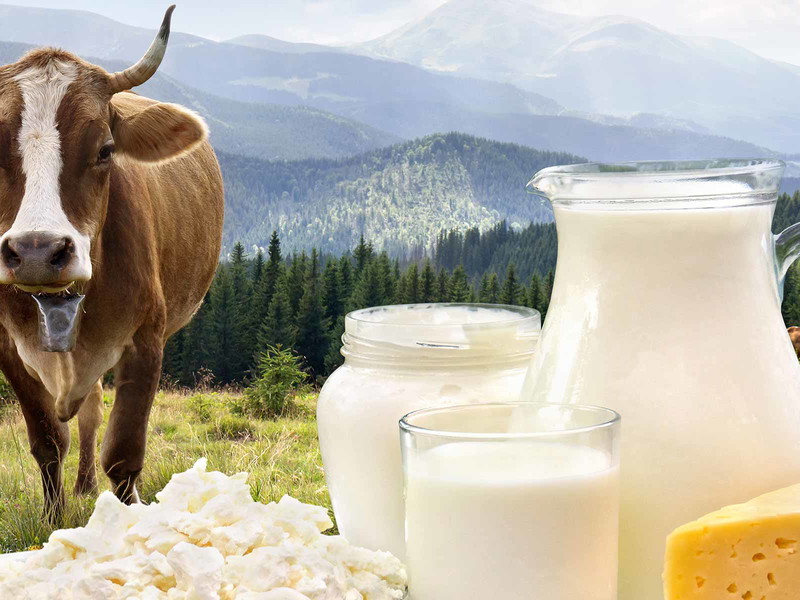 Österreich als Käseland