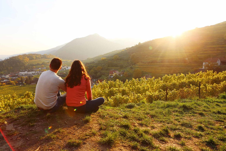 Ein Blick in die Wachau.