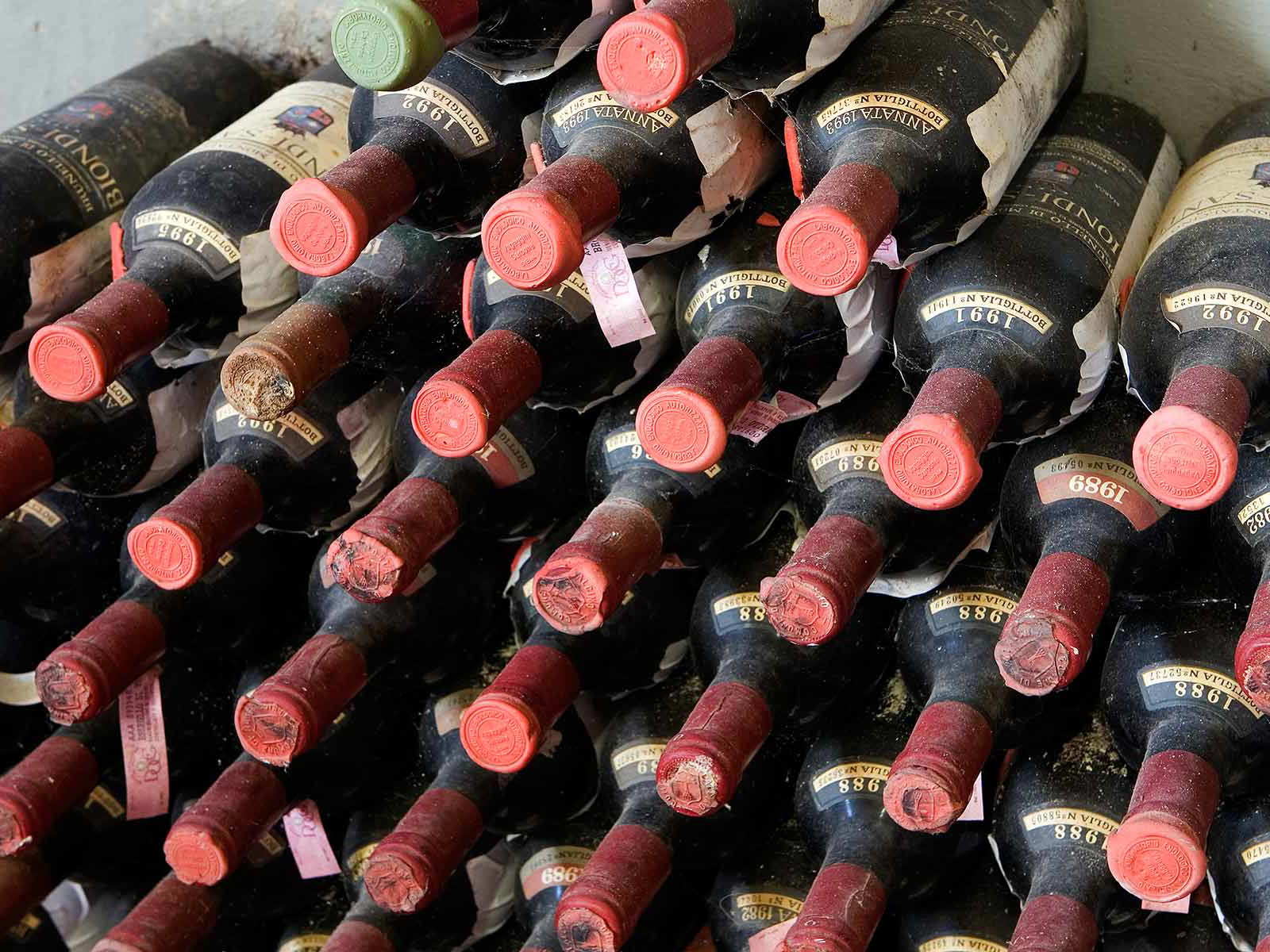 Brunello-Schätze von Biondi Santi