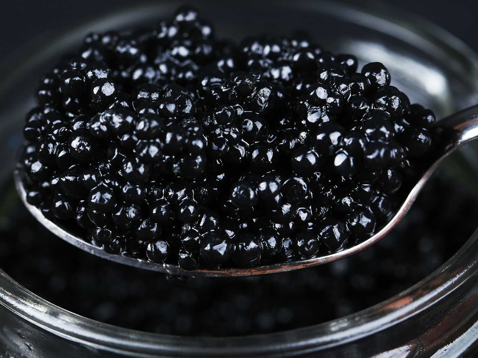 Zu Festtagen ist Kaviar ein gefragtes Produkt – heute kommt er vornehmlich aus der Zucht.