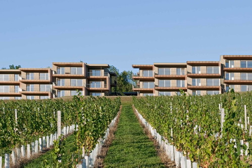 LOISIUM (Steiermark): Neben Moderne und Chic bietet das Loisium alles, was das Wein-Herz begehrt. Die Weinerlebniswelt gibt einen Einblick in 900 Jahre alte Weintraditionen. Häufig gibt es zubuchbare Events wie zum Beispiel 6-gängige Wein-Dinner, das ein Gaumenerlebnis der besonderen Art verspricht.