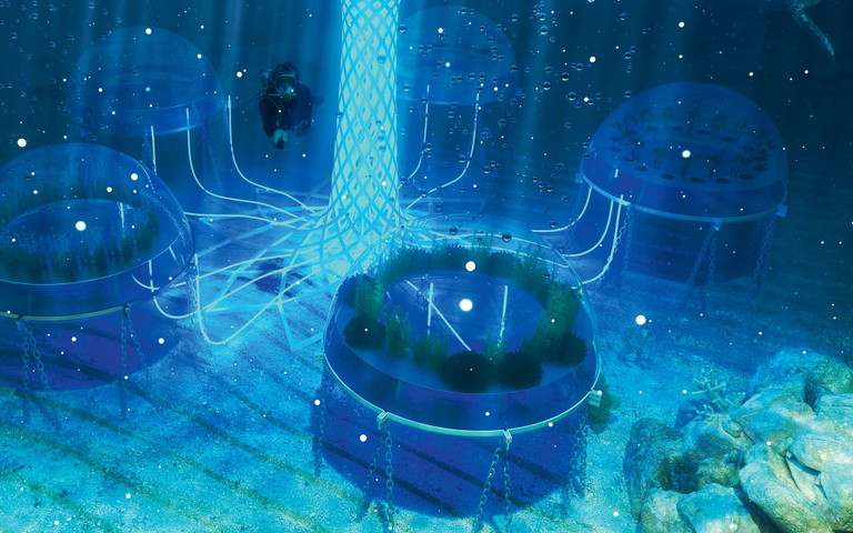 Im Projekt «Nemo’s ­Garden» wächst Gemüse in mit Luft befüllten Ballons unter ­Wasser heran.