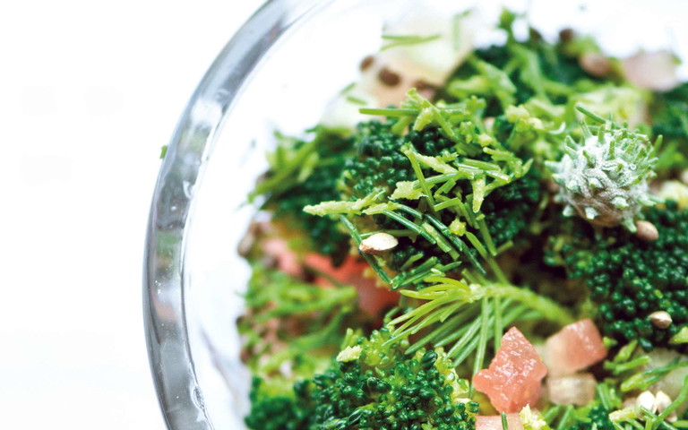 Brokkolisalat mit Maiwipfeln und gerösteten Hanfsamen aus dem Buch «Rose, Schwein &amp; Feigenblatt» von Margoz.Van Assche, erschienen im Verlag Anton Pustet.