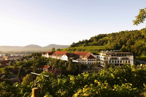 STEIGENBERGER HOTEL &amp; SPA (Krems): Mit Blick auf die Donau lebt es sich im Hotel &amp; Spa wie ein König: Das «Wine Fine Treatment» sorgt dafür, dass die natürlichen Inhaltsstoffe des Weines den Körper optimal von Kopf bis Fuss pflegen. In der grosszügig ausgestatteten Weinbar kann danach ein Gläschen Wein verkostet werden.