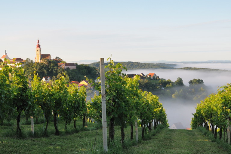 Im Vulkanland Steiermark&nbsp;findet der Morillon zahlreiche&nbsp;perfekte Standorte.