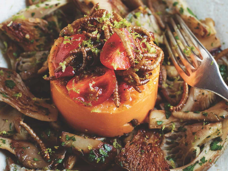 Gesundes Alltagsrezept: Süßkartoffelpüree auf gebratenen Austernseitlingen mit Mehlwurm-Limetten-Vinaigrette