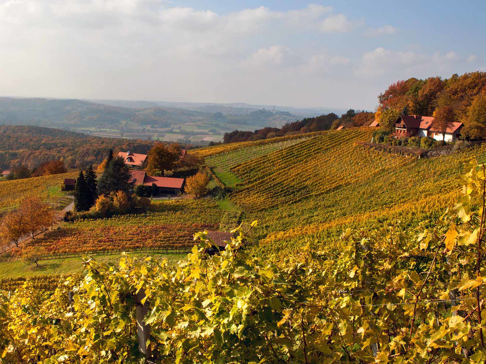 Weinidylle pur. Im Vulkanland Steiermark reift eine verführerische Vielfalt an Weinen heran.