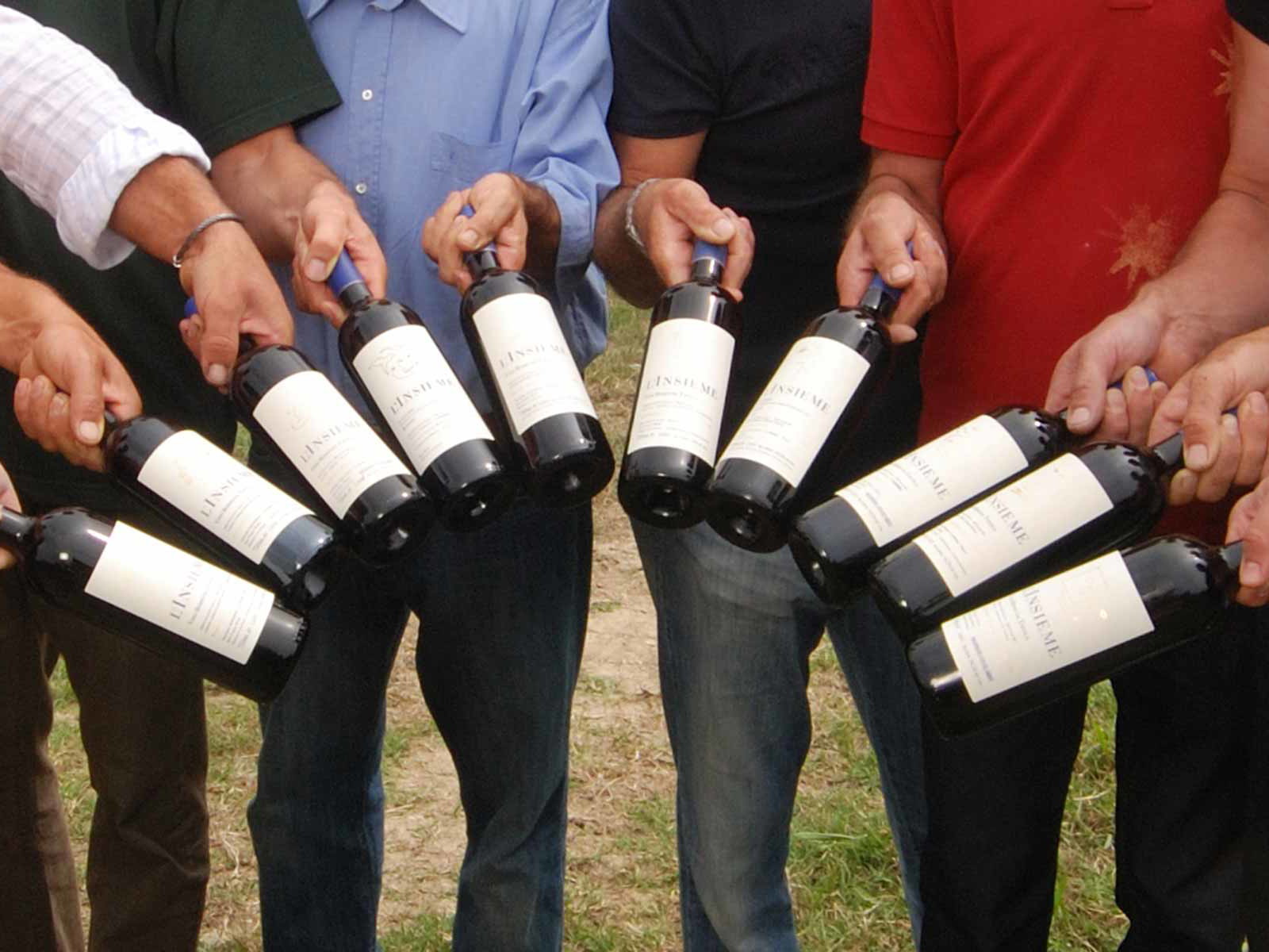 Gemeinsam für die gute Sache: Die Weine der »L´Insieme Gruppe«.