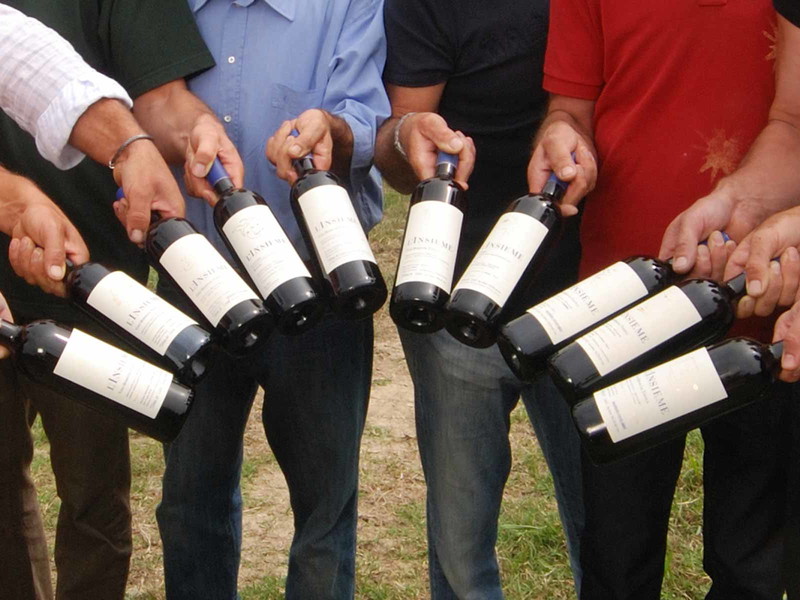 Gemeinsam für die gute Sache: Die Weine der »L´Insieme Gruppe«.