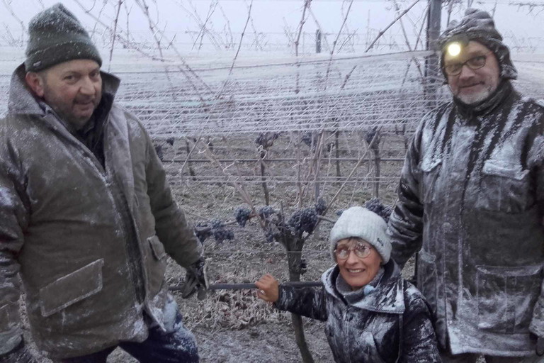 Hans Nittnaus, Christine Nittnaus und Norbert Schmelzer bei der frostigen Arbeit.