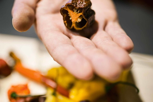 Der Lavanttaler züchtet gut 15 Chilisorten und verarbeitet sie zu schmackhaften und begehrten Saucen und Chutneys. So bringt er unverkrampft Würze auf Genießer-Teller.www.chilifraunz.at