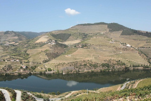 DOURO (Portugal):&nbsp;Der namensgebende Douro-Fluss begünstigt mit seinem Kleinklima den Weinbau östlich von Porto. Die vier Bergketten, die das Tal vor rauem Klima schützen, machen den Weinbau in der kühlen Region möglich. Es wurden Hinweise gefunden, dass es bereits in der Römerzeit Weinbau gab. Seit etwa 1670 ist Portwein ein wichtiges Exportprodukt aus der Gegend, etwa 40 Rebsorten sind heute für dessen Produktion zugelassen.