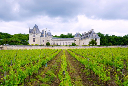 LOIRETAL (Frankreich): Der »Garten von Frankreich« ist gesäumt mit Schlössern und&nbsp;Weingütern. Durch das unterschiedliche Klima (mäßige Sommer im Westen, heiße Sommer im Osten) und verschiedene Bodenbeschaffenheiten bietet die Weinregion eine breite Palette an Weinsorten:&nbsp;Weiß-, Dessert- und Rotweine gehören ebenso zur Produktpalette wie Schaum- und Roséweine. Die vielen Weinkeller laden zu einer Verkostung mit direktem Kontakt zu den Winzern ein.