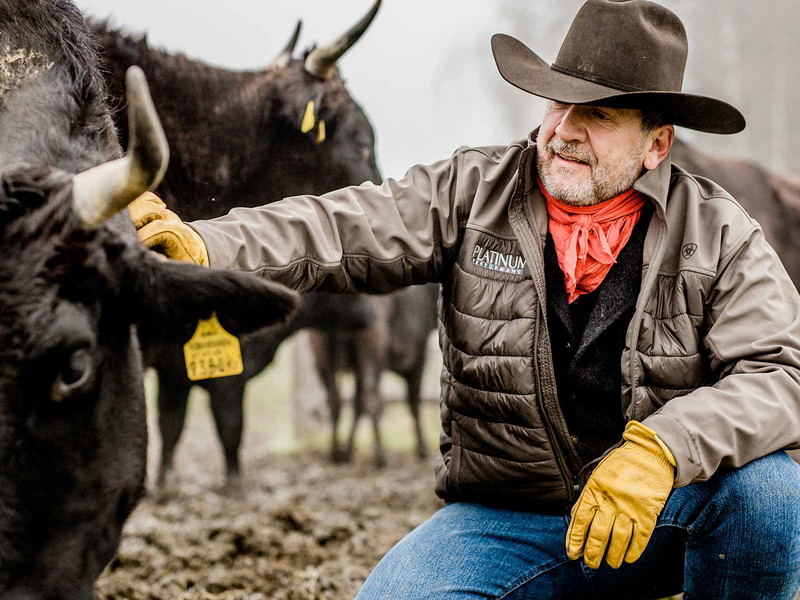Peter Trixner züchtet fernab von Mainstream-Fleisch das seltene Wagyu-Rind aus Japan.