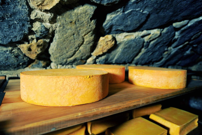 Hier im Reifekeller von Toni Gschwandtner sieht man, was Käse braucht: Zeit. &nbsp;