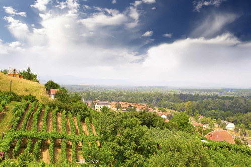 TOKAJ (Ungarn):&nbsp;In dem Weinbaugebiet im Nordosten von Ungarn wurde ein im Miozän entstandener Abdruck eines&nbsp;Urweinrebenblattes, dem gemeinsamen Vorfahren jeder Rebsorte,&nbsp;gefunden. Die Region ist somit der »Urvater« der Weine, wie wir sie heute kennen. Die Bodenbeschaffenheit, die aus mehreren postvulkanischen Aktivitäten entstanden ist, und das Einwirken der Flüsse Bodrog und Theiß, machen den Wein so besonders.
