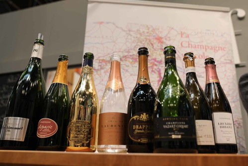 Schöner Querschnitt durch die Welt der Champagne.