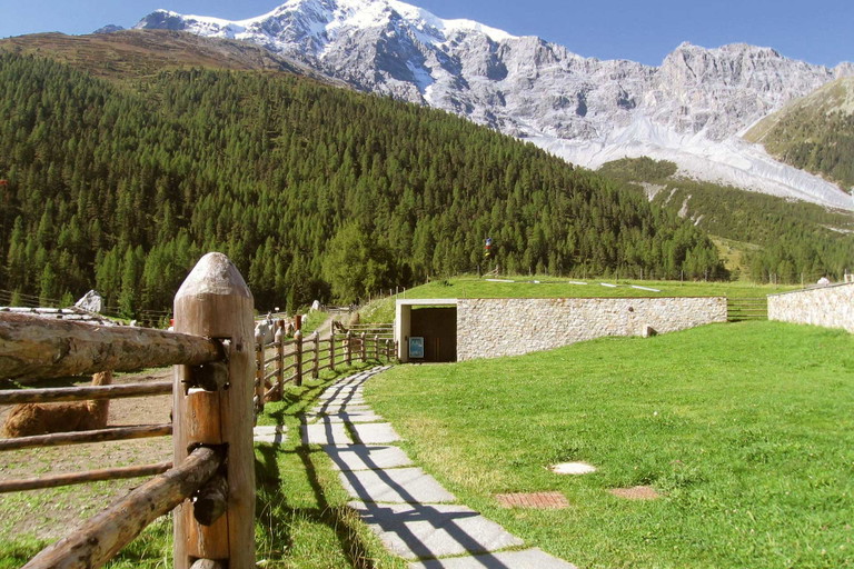 Das »Messner Mountain Museum Ortles« ist unterirdisch angelegt.