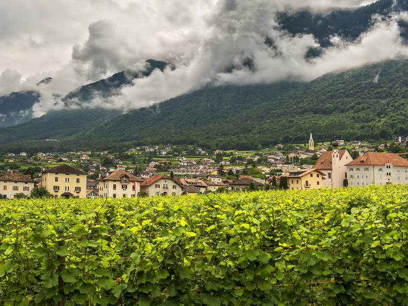 Die unterschiedlichen Bodentypen und das Klima machen die Weine in Südtirol so speziell.