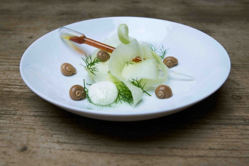 Molekulare Techniken und Wiener Schnecken vereint: Schneckenleber/Joghurtliquide/Fenchelkraut