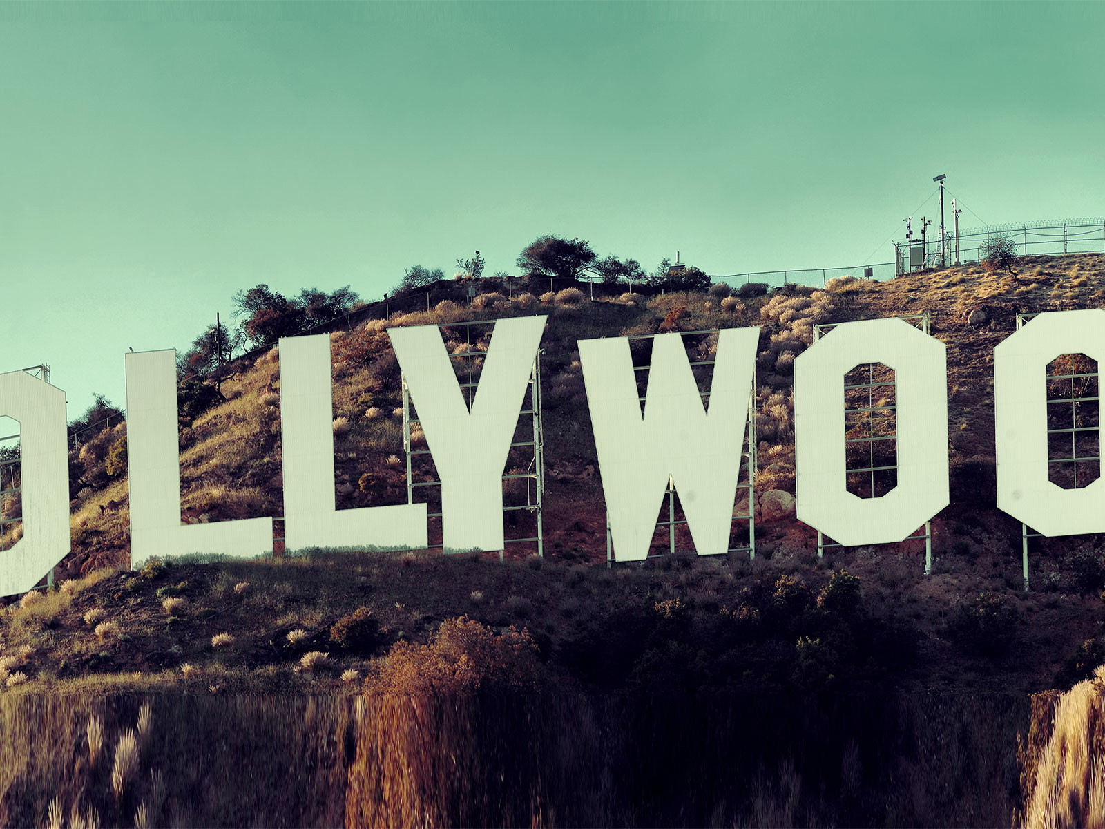In Hollywood werden neben Filmen auch ausgezeichnete Cocktails «geboren».