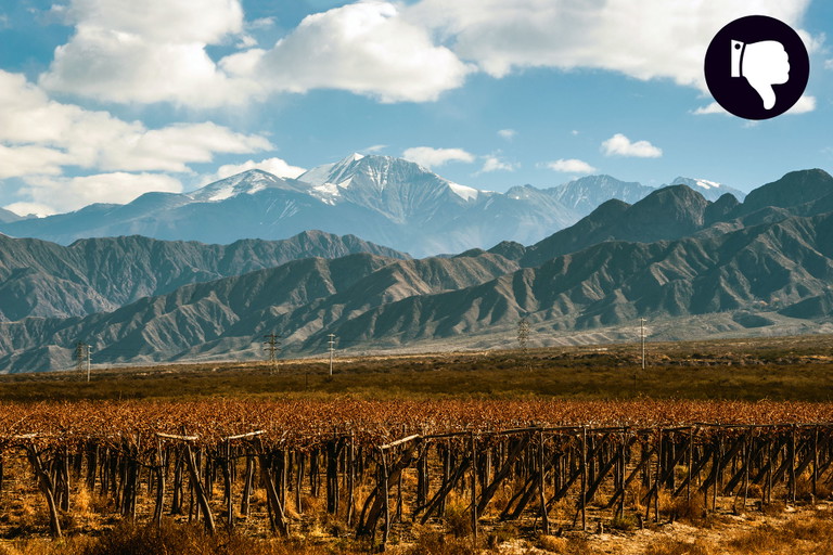 Vor allem die Region Mendoza ist von Ernteeinbußen betroffen.