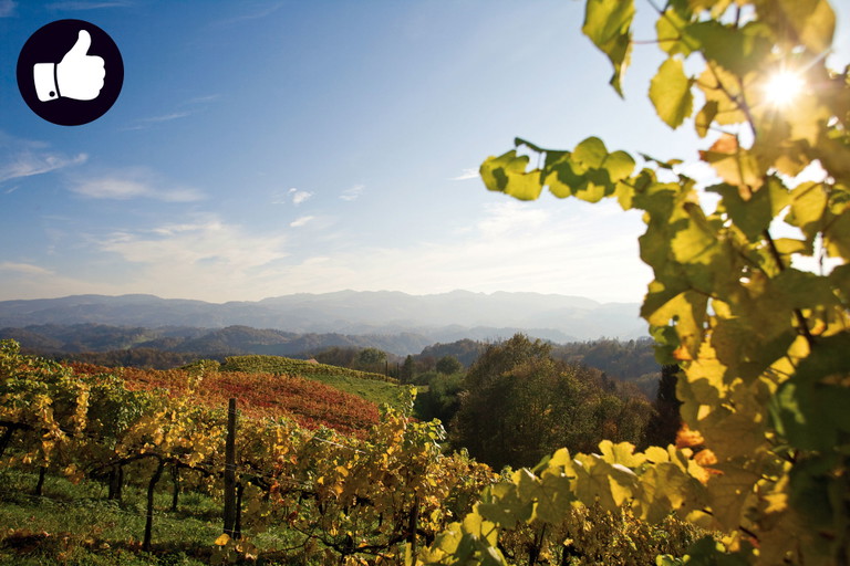 In der Steiermark blieb den Winzern nur ein Viertel der normalen Erntemenge.