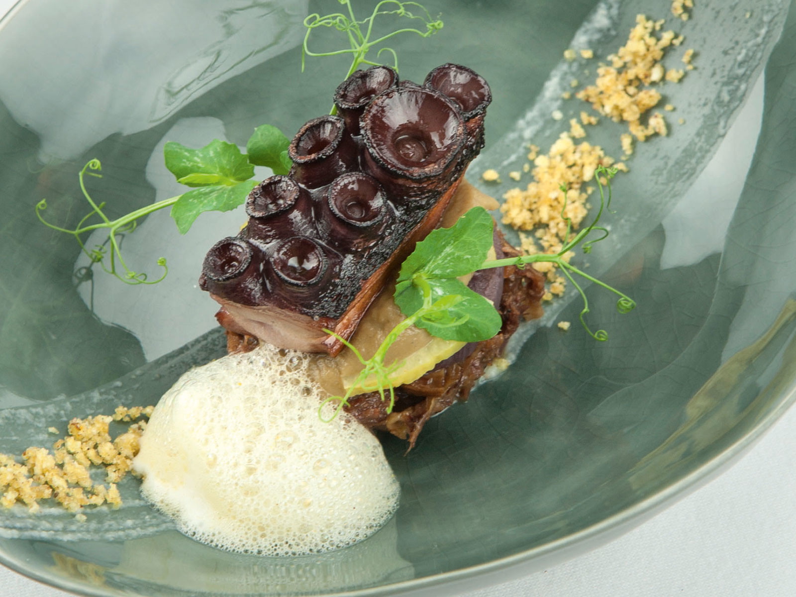 Puristisch: Bio-Ochsenschwanz, Pulpo, Aubergine und Ras el-Hanout.