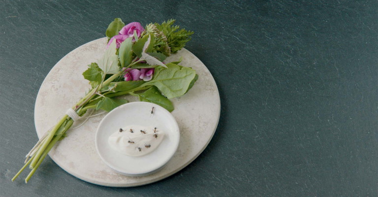 Kräuterbouquet und Dip aus schwarzen Ameisen